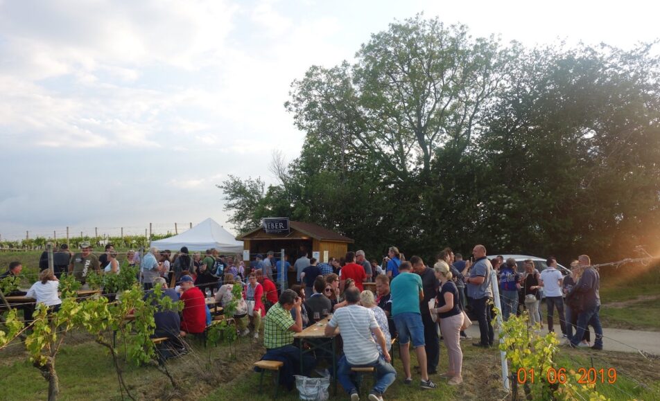 Weinblütenwanderung